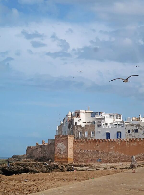 cultural trips morocco