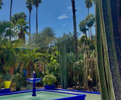 marrakech local tours