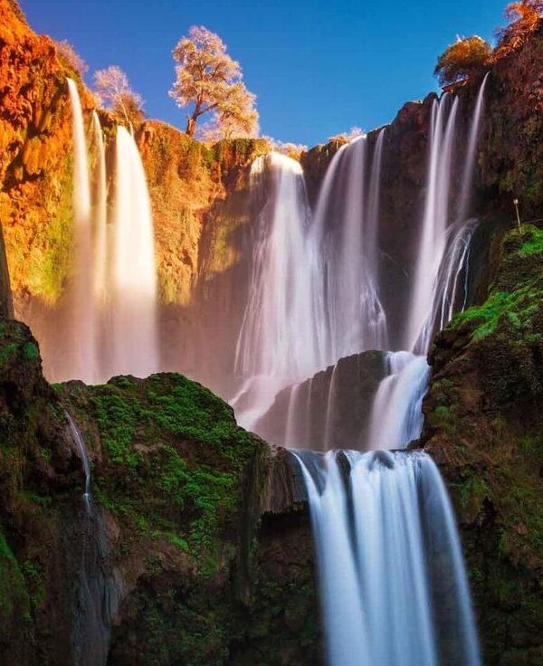 authentic moroccan experience