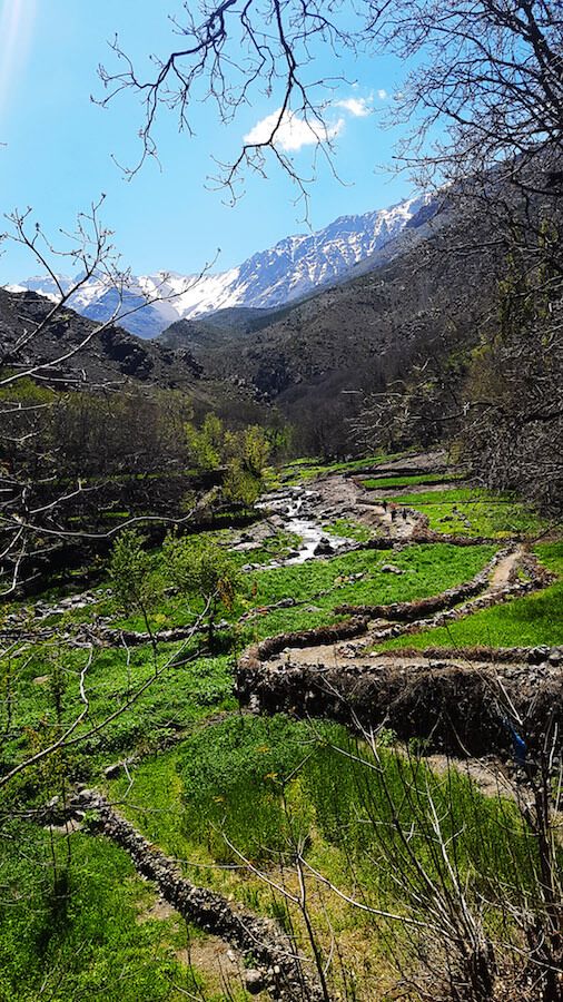 sightseeing excursions